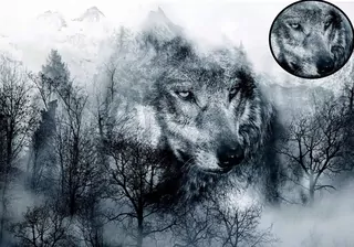 3D fototapeta * do spálne, obývačky WILK 350 × 245