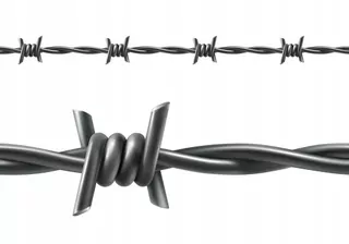 Pozinkovaný ostnatý drôt fi 2,0 mm / fi 2,0 mm / 100 mb