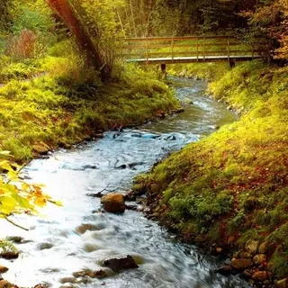 FOTOTAPETA 400 × 309 +LEPIdlo, Lesný potok a mostík