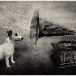 FOTOTAPETA 400 × 309 +LEPIdlo, Pes a gramofón, sivá