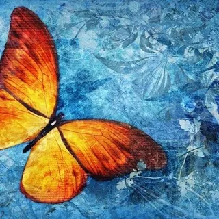 FOTOTAPETA 400 × 309 +LEPIdlo, Oranžový motýľ, Blue