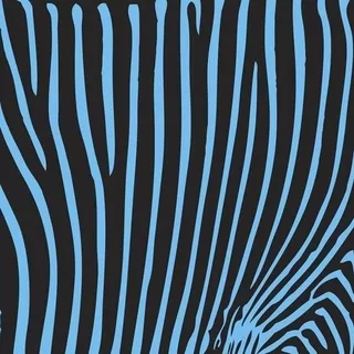 FOTOTAPETA 400 × 309 +LEPIdlo, Tyrkysové pruhy Zebra