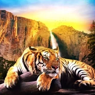 FOTOTAPETA 400 × 309 +LEPIdlo, tiger, pohľad, vodopád