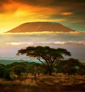 Fototapeta 3D Afrika, safari, divoká zver.