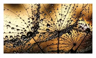 Fototapeta - Fototapeta 3D BLOWERS FLOWERS OBÝVAČKA XXL 368 × 254