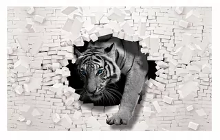Fototapeta - Nástenné nástenné maľby 3D Optické Tiger Wall Vinyl 312 × 219
