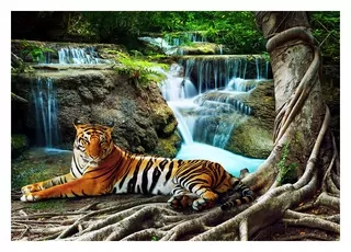 Fototapeta 3D vodopád tiger