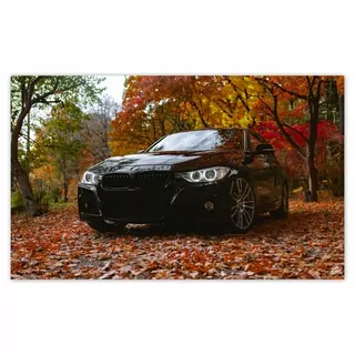 Fototapeta - Nástenný výjav 416x254 čierne BMW jeseň