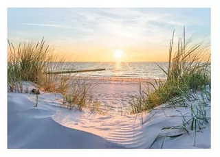 Fototapeta - Nástenný nástenný salón 3D plážové more Dunes 368 × 254