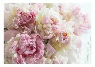 Fototapeta - Nástenné nástenné maľby pre spálňu 3D kvety PEONY 368X254