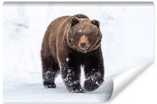 Fototapeta Medveď Sneh 3D 180 × 120