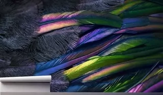 Fototapeta 300 × 210 cm