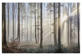 Fototapeta - Nástenné nástenné maľby v hmlovej spálni 3D 368 × 254