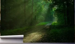 Fototapeta 130 × 80 cm
