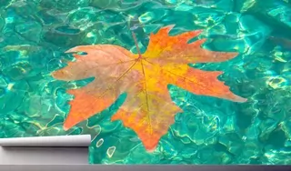 Fototapeta 200 × 130 cm