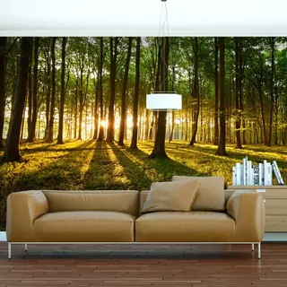 Fototapeta Les do obývacej izby FDB262-L Veľkosť: 220 × 255cm