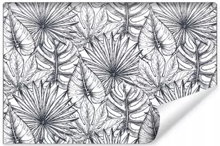 Fototapeta Listy Monstera samolepiaca tapeta 135 × 90 cm FT-418-SK135-90