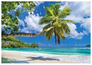 Fototapeta - Nástenné nástenné more Pláž Palm Landscape 3D 416 × 254