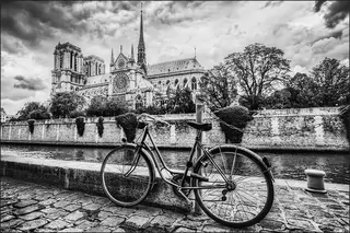 Fototapeta - Paris výjav Black & White III 254X184