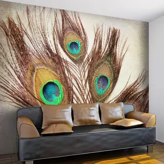 Fototapeta Pávové pero salónik FDB204-L 220 × 255cm
