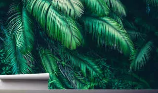 Fototapeta 300 × 210 cm