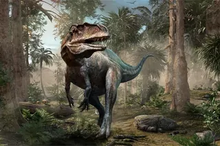 Fototapeta pre deti dinosaur 3D stromy 270 × 180