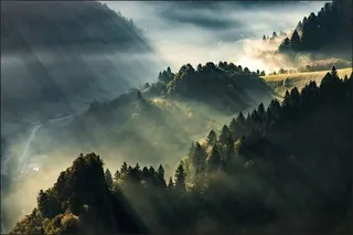Fototapeta pre jedáleň les hmla hory slnko