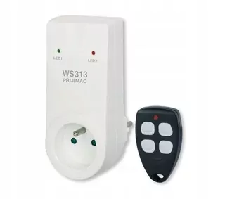 Elektrobock WS313