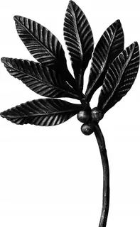 Symbol: KZ.008.11 W