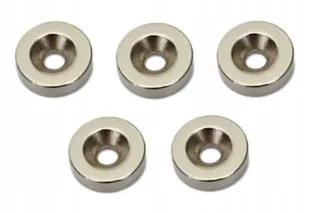 Magnet z neodýmu pre rákosia Fi12x3mm