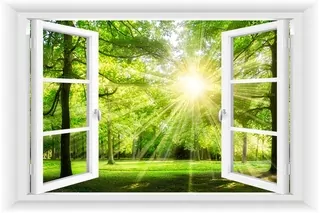 Fototapeta - Nálepka okno 3D lesník 120 × 80