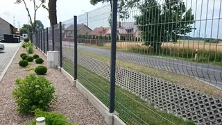 Cena kúpiť teraz sa vzťahuje na 1 mb panelu výš. 1,23 vo farbe.