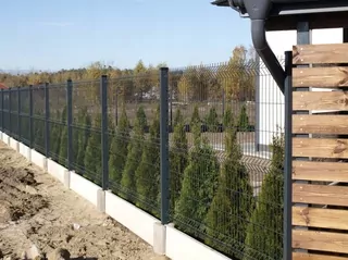 Cena kúpiť teraz sa vzťahuje na 1 mb panelu výš. 1,23 vo farbe.