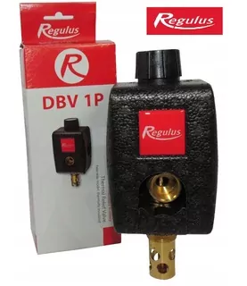 Ventil Regulus DBV 1P