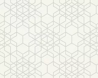 Tapeta 34869-1 Grafická pavučina