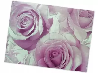 Fototapeta - nádherné veľké kvetové ruže s trblikovou 3D efektou tapety