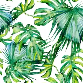 Fototapeta - Tapety Roll Listy Monstera 0.5 × 10m B-C-0261-J-A