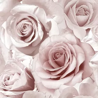 Fototapeta - Tapeta Pink Roses s Brocade 3D efekt