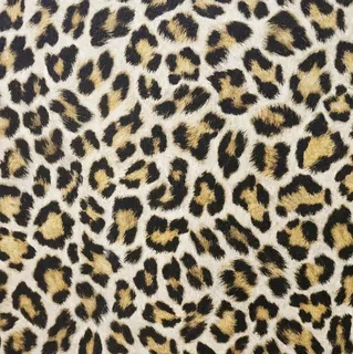 Fototapeta - Tapeta Leopard Leopard Leopard Africa Efekt 3D