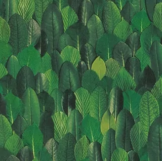 Fototapeta - 3D tapety tapety Green Leaves efekt
