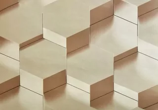 Druh tapety