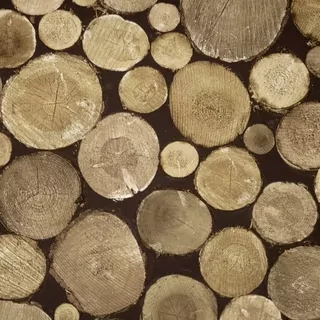Tapeta - Hromada dreva - Drevené kmene - 3d efekt