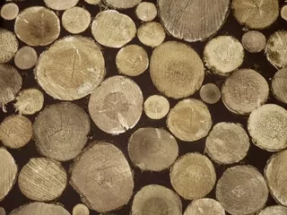 Tapeta - Hromada dreva - Drevené kmene - 3d efekt