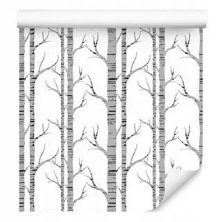 Fototapeta - Birching tapety, trenírky, les do detskej izby, obývacia izba