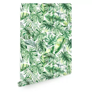 Tapeta listy monstera džungle