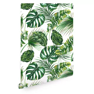 Tapeta listy monstera palma