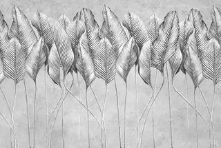 Fototapeta - Moderné Sapenza tapety apod Sapenzie 368x248 WZ2