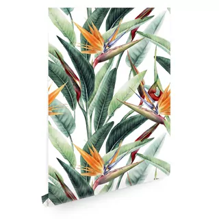Fototapeta - Tropical tapety Listy kvety T01636