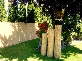 Trstinová rohož Trstinová rohož 1,50x6m Veľmi hustá