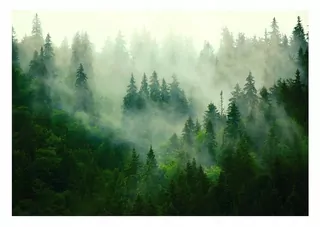 Foggy lesná nástenná maľba v škandinávskom štýle 416x254